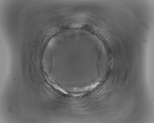 X0000111631441200908281124