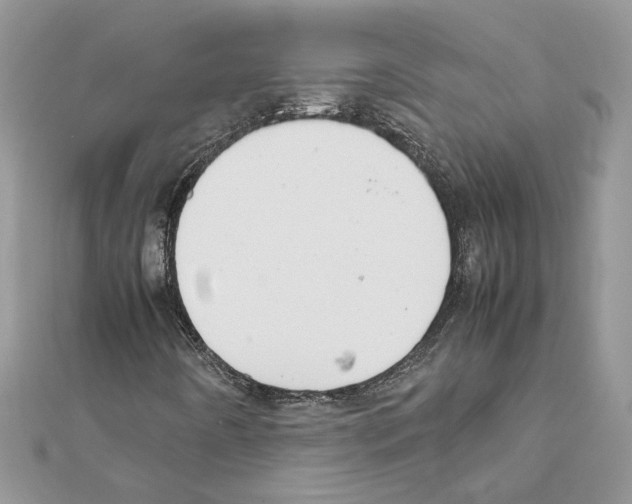 X0000111631442200908281124