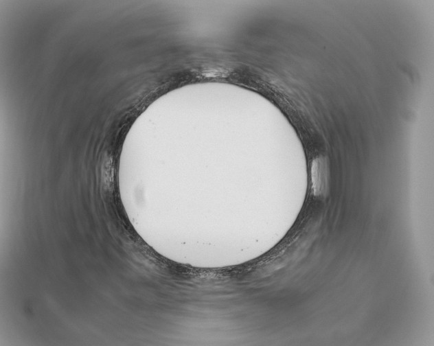 X0000111631443200908281124