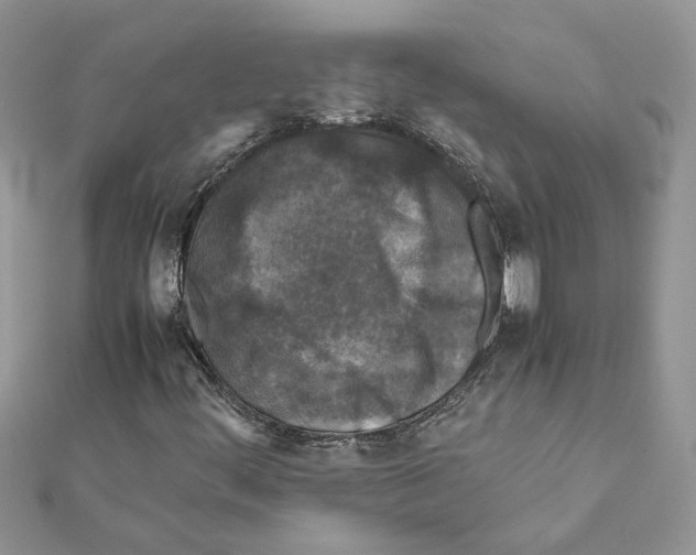 X0000111631444200908281124