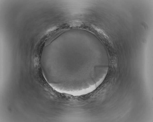X0000111631445200908281124