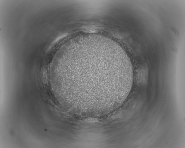 X0000111631446200908281124