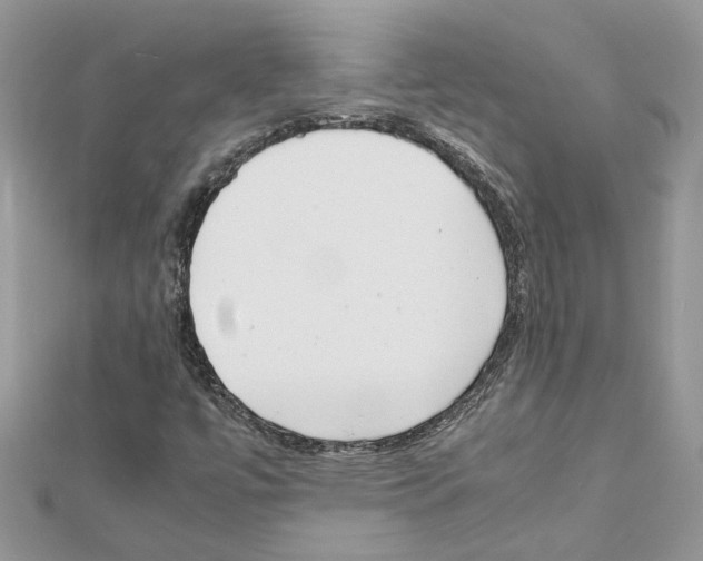 X0000111631447200908281124