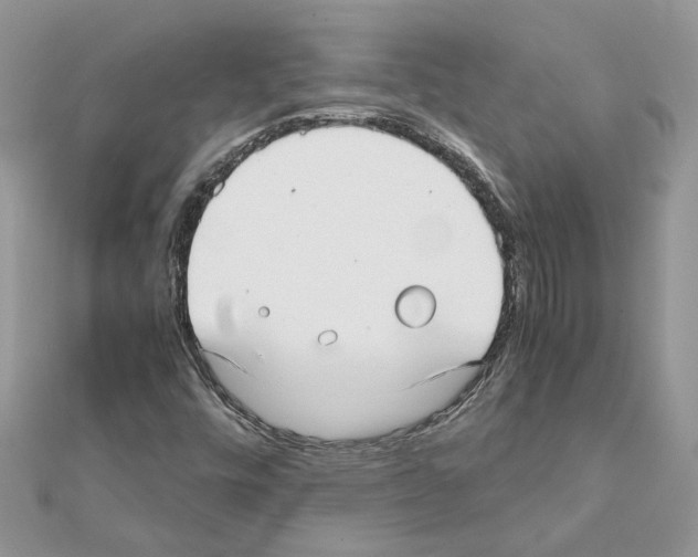 X0000111631448200908281124