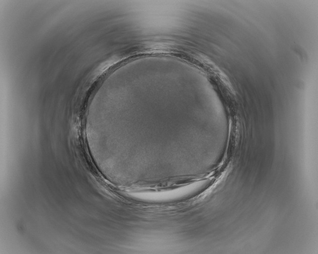X0000111631449200908281124