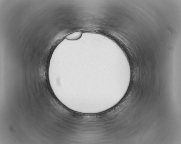 X0000111631451200908281124