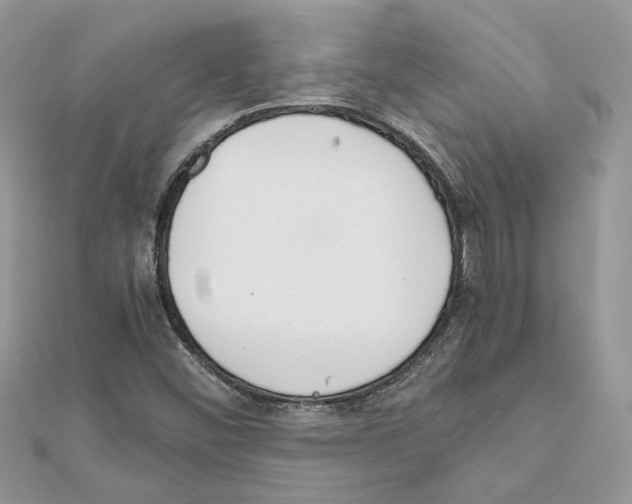 X0000111631452200908281124