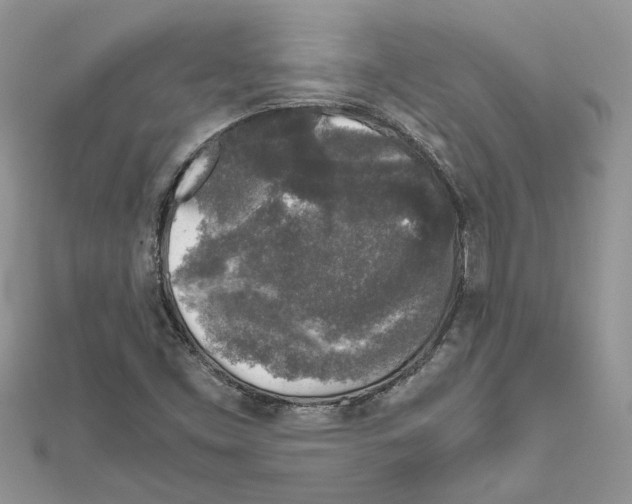 X0000111631453200908281124