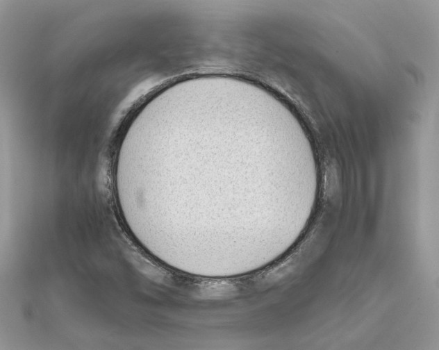 X0000111631454200908281124