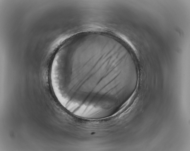 X0000111631455200908281124