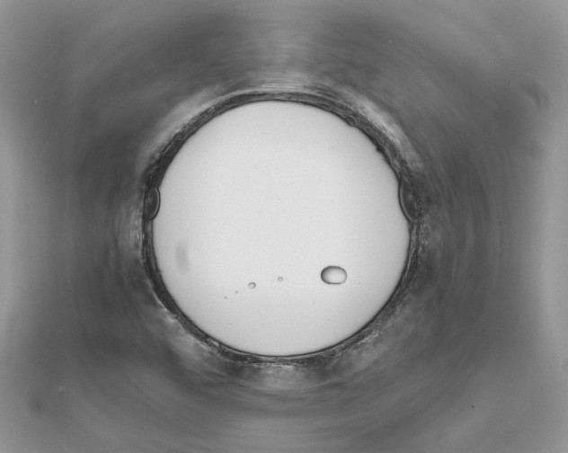 X0000111631456200908281124
