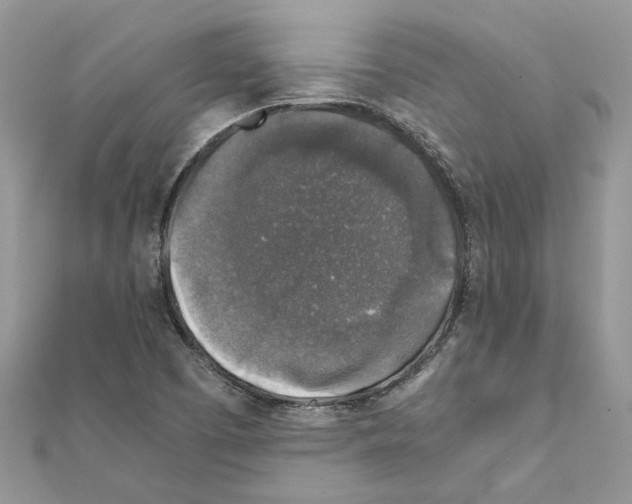 X0000111631457200908281124