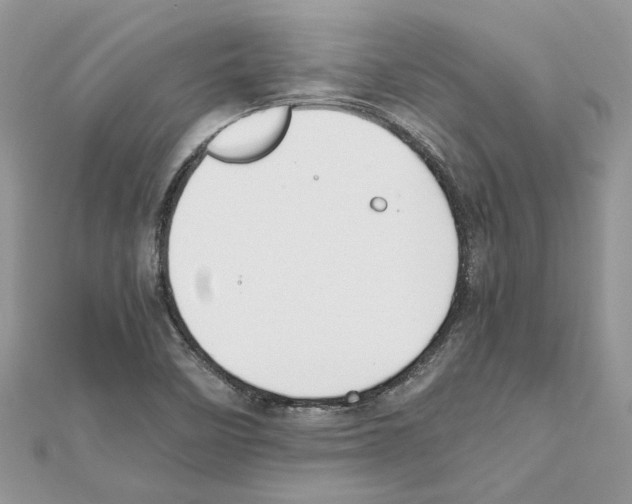 X0000111631458200908281124