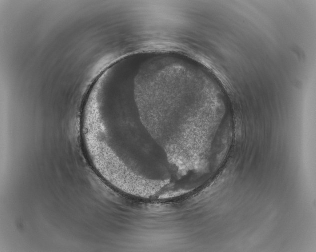 X0000111631459200908281124