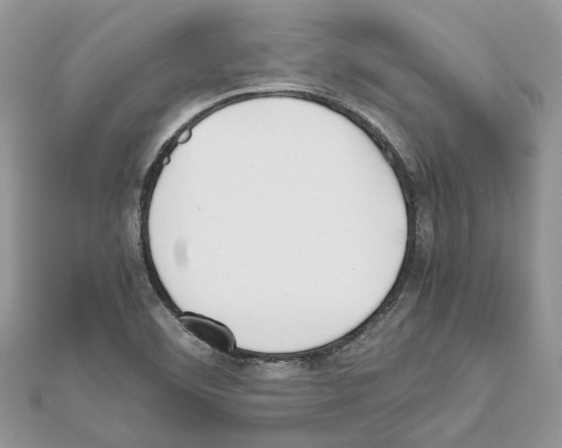 X0000111631460200908281124