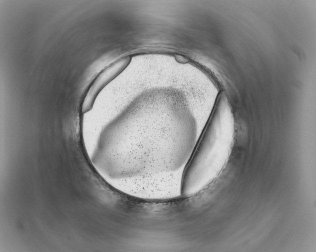 X0000111631461200908281124
