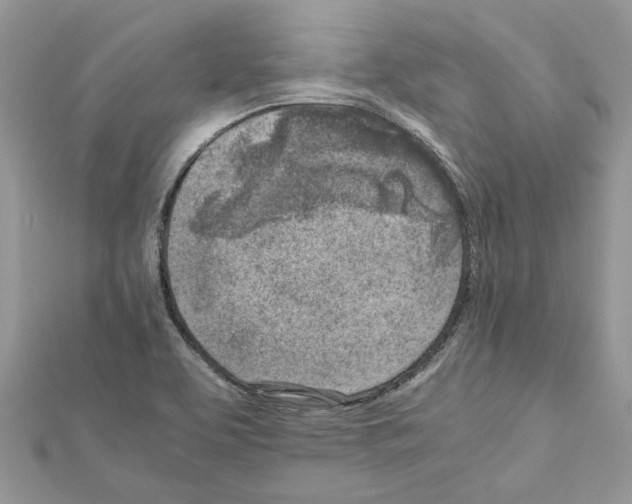 X0000111631463200908281124