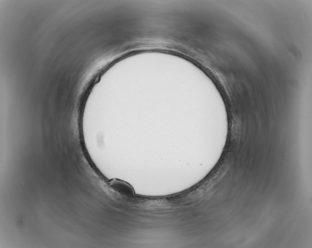 X0000111631464200908281124