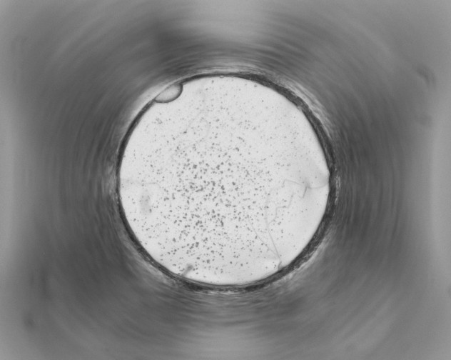 X0000111631465200908281124