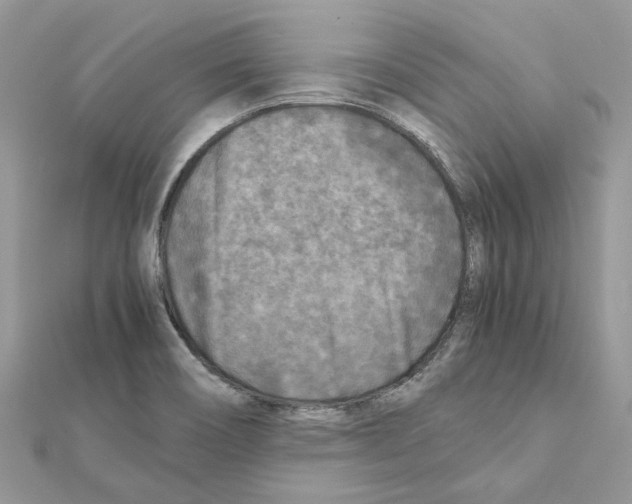 X0000111631466200908281124