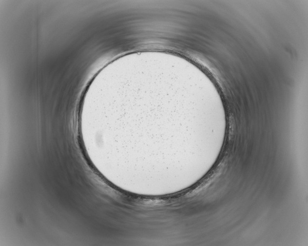 X0000111631467200908281124