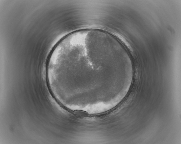 X0000111631468200908281124
