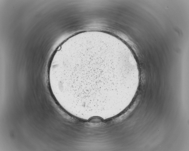 X0000111631469200908281124