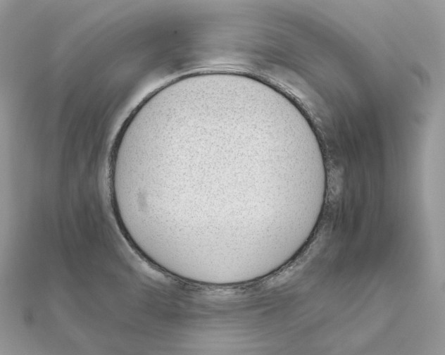 X0000111631470200908281124