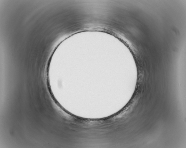 X0000111631471200908281124