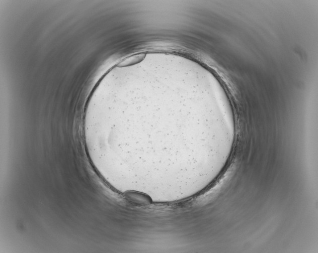 X0000111631473200908281124