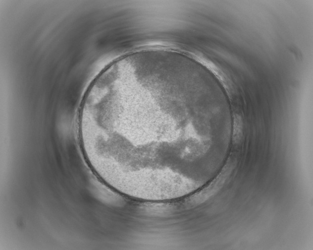 X0000111631474200908281124