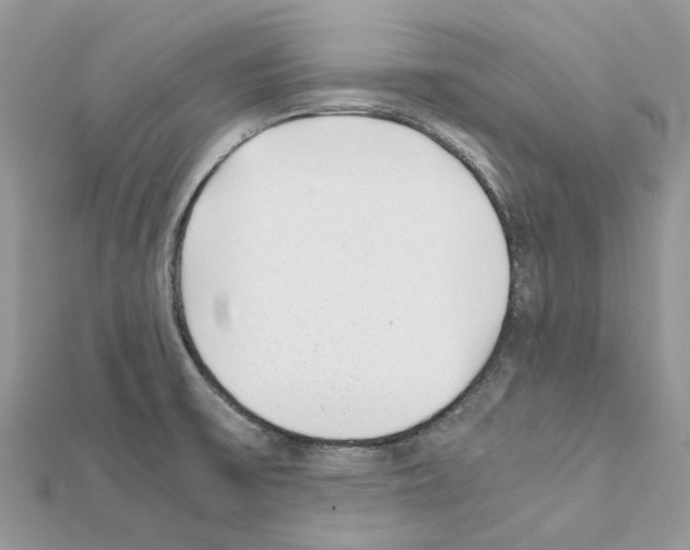 X0000111631475200908281124