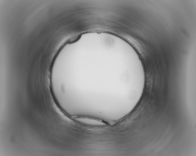 X0000111631476200908281124