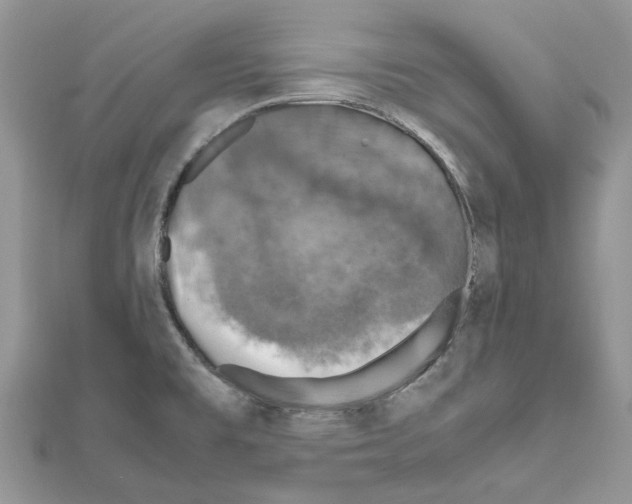 X0000111631477200908281124