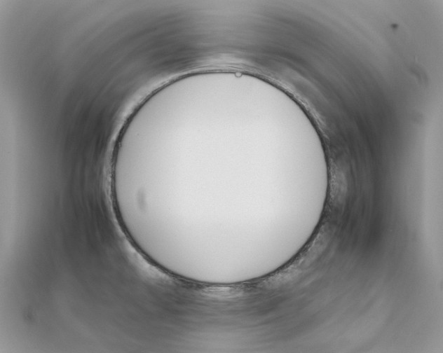 X0000111631478200908281124