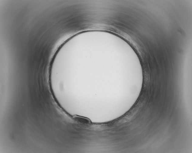 X0000111631480200908281124