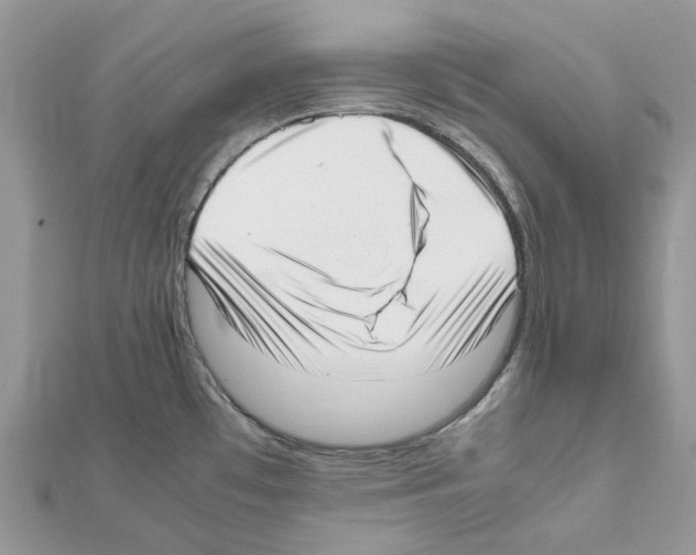 X0000111631481200908281124