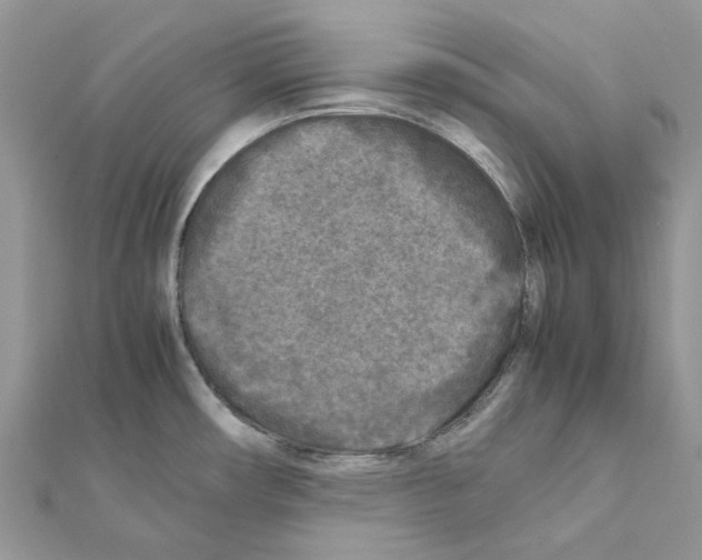 X0000111631482200908281124