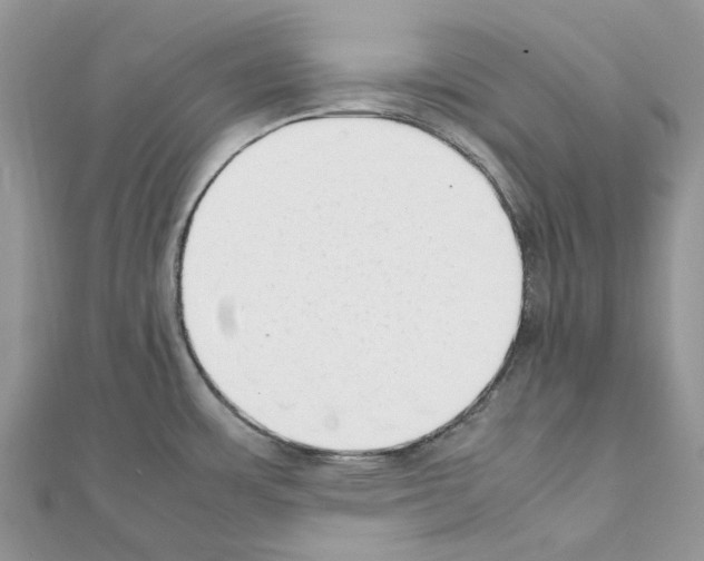X0000111631483200908281123