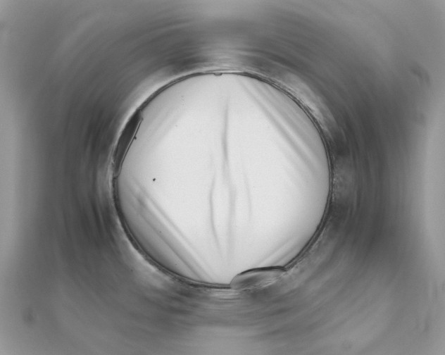 X0000111631484200908281123