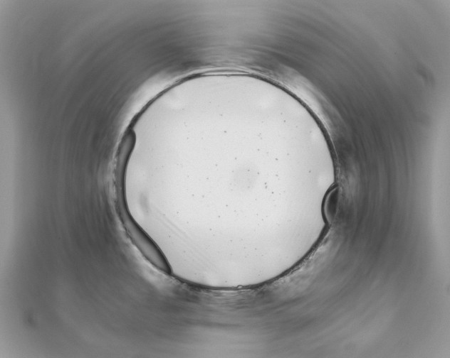 X0000111631485200908281123