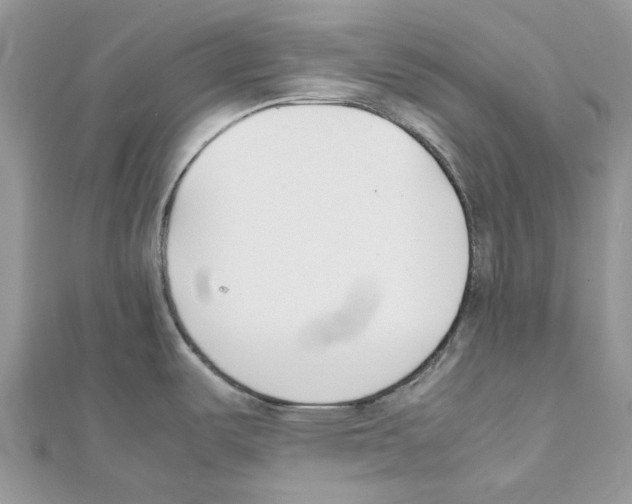 X0000111631487200908281123