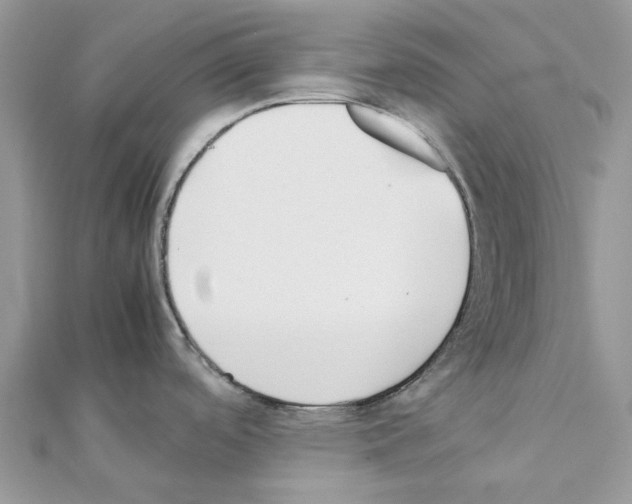 X0000111631488200908281123