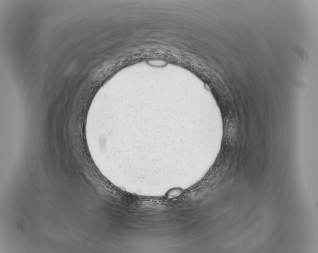 X0000111631489200908281123