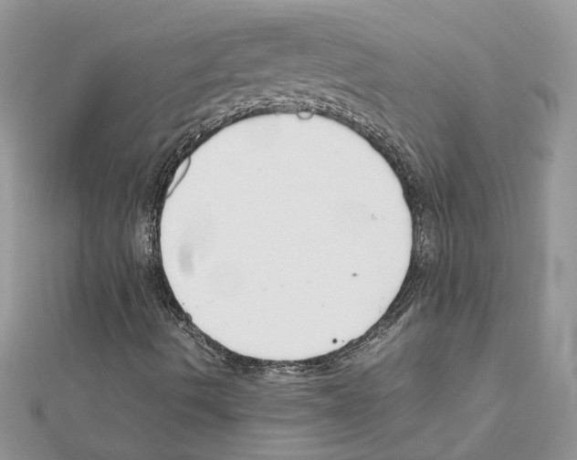 X0000111631490200908281123