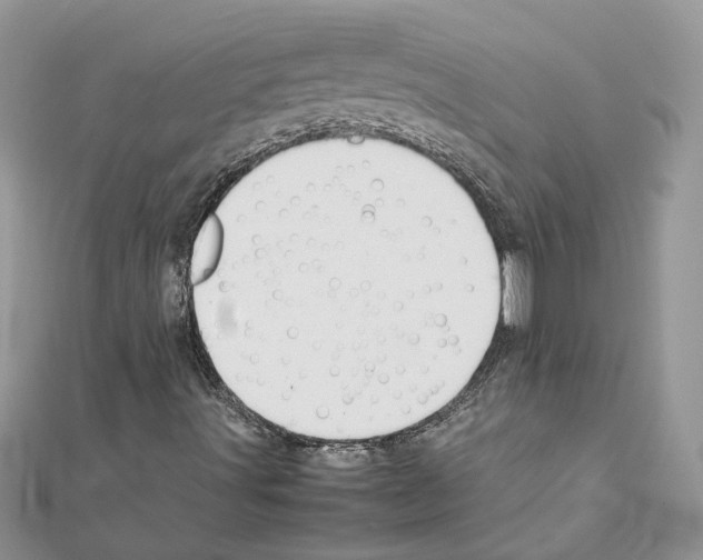 X0000111631491200908281123