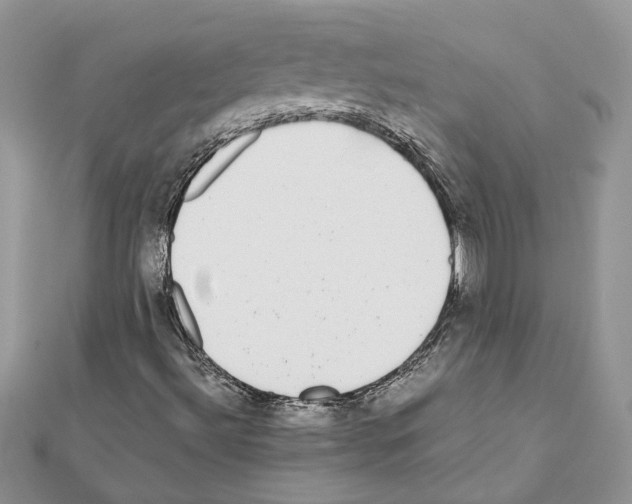 X0000111631492200908281123