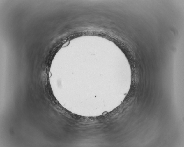 X0000111631493200908281123