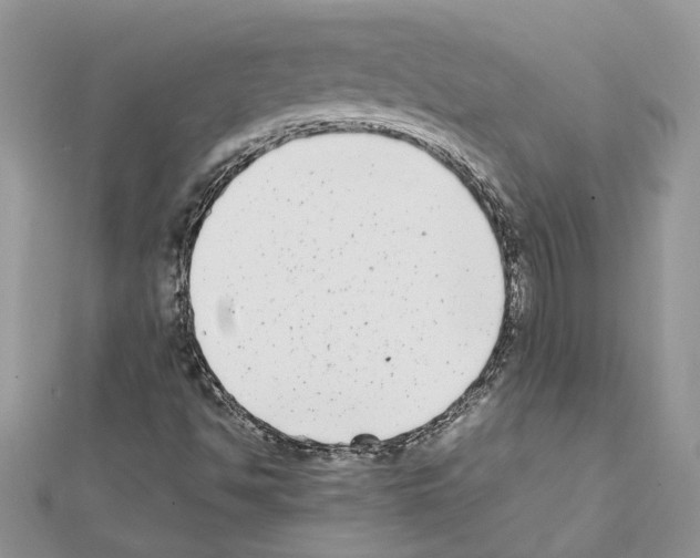 X0000111631494200908281123