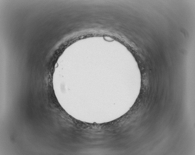 X0000111631495200908281123